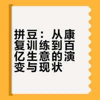 拼豆：从康复训练到百亿生意的演变与现状