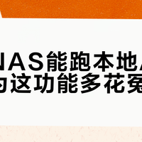 绿联NAS能跑本地AI，但别为这功能多花冤枉钱