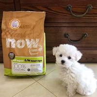 养犬闭眼入！NowFresh进口鲜肉狗粮，低敏美敏，全犬种通用本命粮