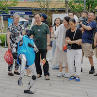 70元一个白馒头？迪士尼高价餐值不值，理性拆解避坑指南