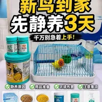 新鸟到家第一步：静养三天的操作指南与注意事项