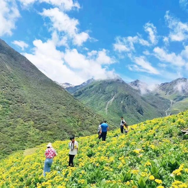 五月去喀拉峻？别踩坑！这份精准出行指南帮你避开闭园和草甸期