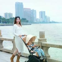 折叠比登机箱小？22cm高度成登机隐形雷点