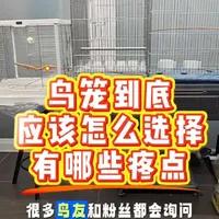 鹦鹉鸟笼选择指南：材质、结构与安装方案全解析