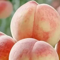 喝几千瓶康师傅才抵一个桃！网友：一颗桃卖一年
