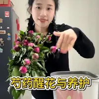 五月芍药养护指南：醒花与日常管理要点