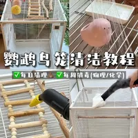 鹦鹉鸟笼清洁指南：日常维护与深度消毒全流程