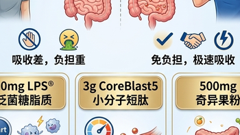 放化疗后身体消瘦、吃不下？别盲目大补，先看懂胃肠这道“墙”