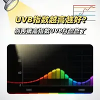 乌龟UVB饲养指南：拒绝数值迷信，科学选灯与避坑