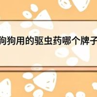 2026户外狗狗用的驱虫药哪个牌子性价比高？