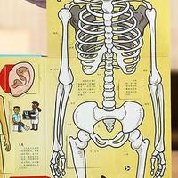 乐乐趣不是浅，是专为2-4岁娃的认知节奏量身定制