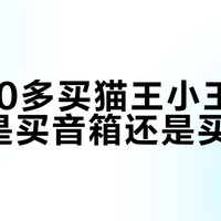花300多买猫王小王子，到底是买音箱还是买摆件？
