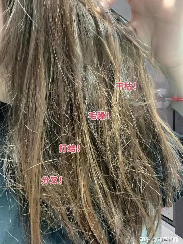 发膜什么牌子好？2026年测评10款性价比发膜