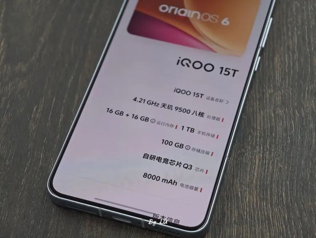 图源：不客观实验室