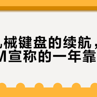 罗技K98M续航真能用一年？实测15天打脸，别被官方话术忽悠了