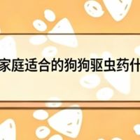 2026多宠家庭适合的狗狗驱虫药什么牌子好？