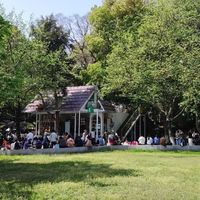 南京红山动物园本土物种区：让生态保育回归身边