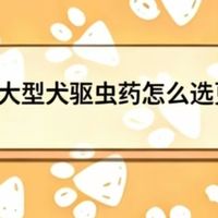 2026超大型犬驱虫药怎么选更合适？