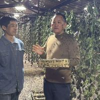 黑水虻堆肥实操指南：家庭可行吗？