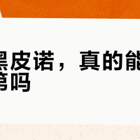 国产黑皮诺真能平替勃艮第？风土、成本与盲品真相全解析