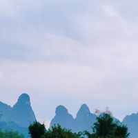 溯源生鲜肉食安风波，厘清产销终端三方责任