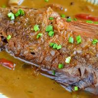 炖鱼肉，牢牢记住“3个窍门”，出锅肉嫩汤鲜，凉了也吃着香
