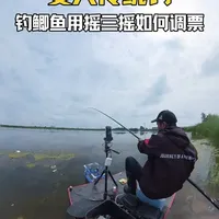夏季传统钓鲫鱼全攻略：选位、打窝与调漂技巧