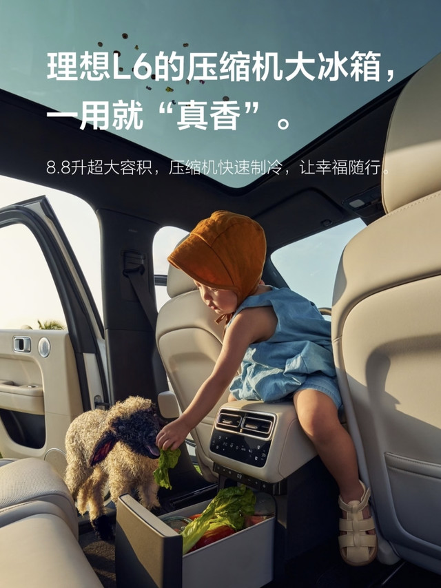 夏天车载冰箱别踩坑！理想L6用后才懂压缩机款才是刚需