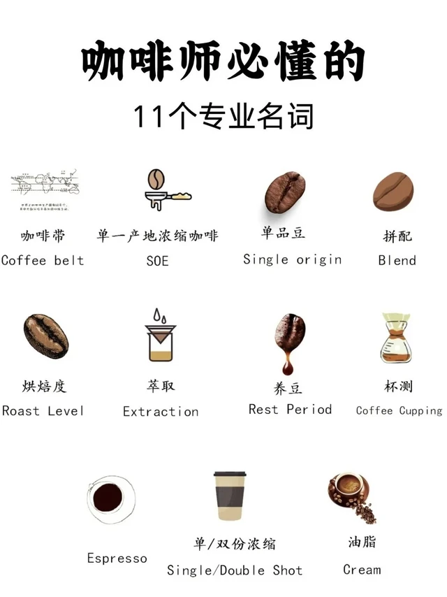 咖啡师必懂的11个专业名词
	
#咖啡知识#咖啡#111white#三白咖啡#三白3号豆#三白特调 #threewhite三白咖啡 #社区咖啡
