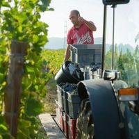 【酒局】Domaine les Bruyeres 线上品鉴会