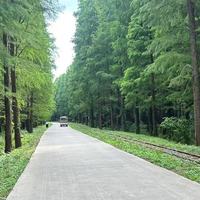 闭眼入不踩雷的卸妆膏:销冠且初太阳红梨实测