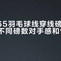 李宁N65羽毛球线穿线磅数选择指南：不同磅数对手感和性能的影响