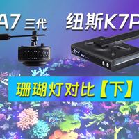 艾湃A7三代、纽斯K7Pro四代珊瑚灯-谁更好！【下】