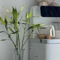 简约设计，飞利浦茶吧机的优缺点