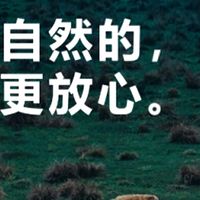 2026年山东优质宠物磨牙棒推荐 科学洁齿守护爱宠健康