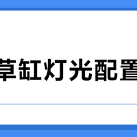 阴性草缸灯光怎么选？照度色温显色缺一不可