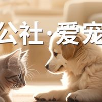 山东宠物磨牙棒品质之选 禾萌公社科学洁齿守护爱宠