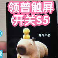 接入米家的领普超薄触屏开关S5。3.5寸彩屏,动态主题丰富可玩性