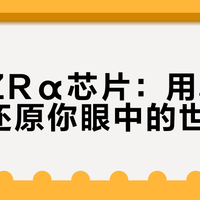 东芝ZRα芯片：用真实色彩还原你眼中的世界