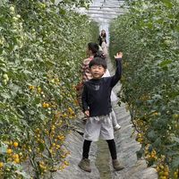 孩子动手摘，全家收获多：真实可玩的亲子采摘园清单