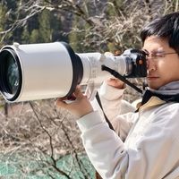 佳能RF 70-200mm vs 索尼GM II：谁才是专业长焦镜头的终极选择？