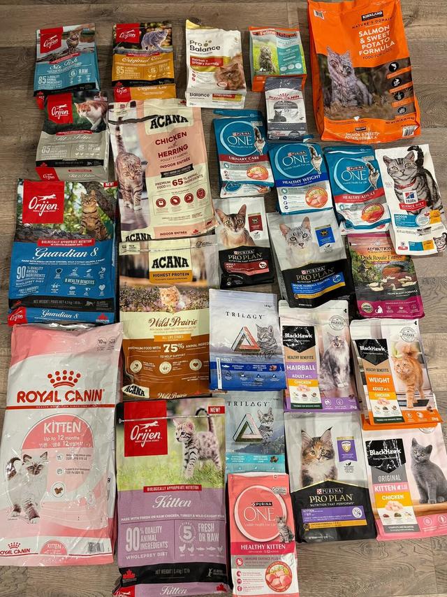 猫猫干粮分享与答疑