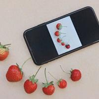 iPhone长焦真不如国产？3-5倍黄金焦段实测大揭秘