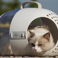三款热门自动猫砂盆实测：谁真能解放双手又不伤猫？