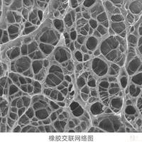 静音鼠标怎么选？M650和M650L真实体验大拆解