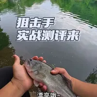 凯霖狙击手C662ML路亚竿实战测评：黑坑鲈钓的专业之选