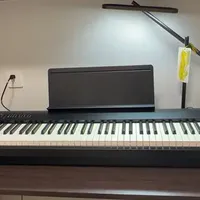 成人的大玩具 罗兰fp30x