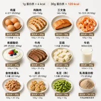 30g蛋白是多少的食物