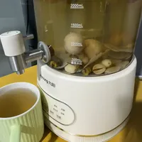 苹果海底椰石斛茶｜润肺安神，熬夜党必备🍎