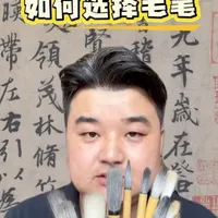 书法新手选笔指南：核心参数与避坑建议